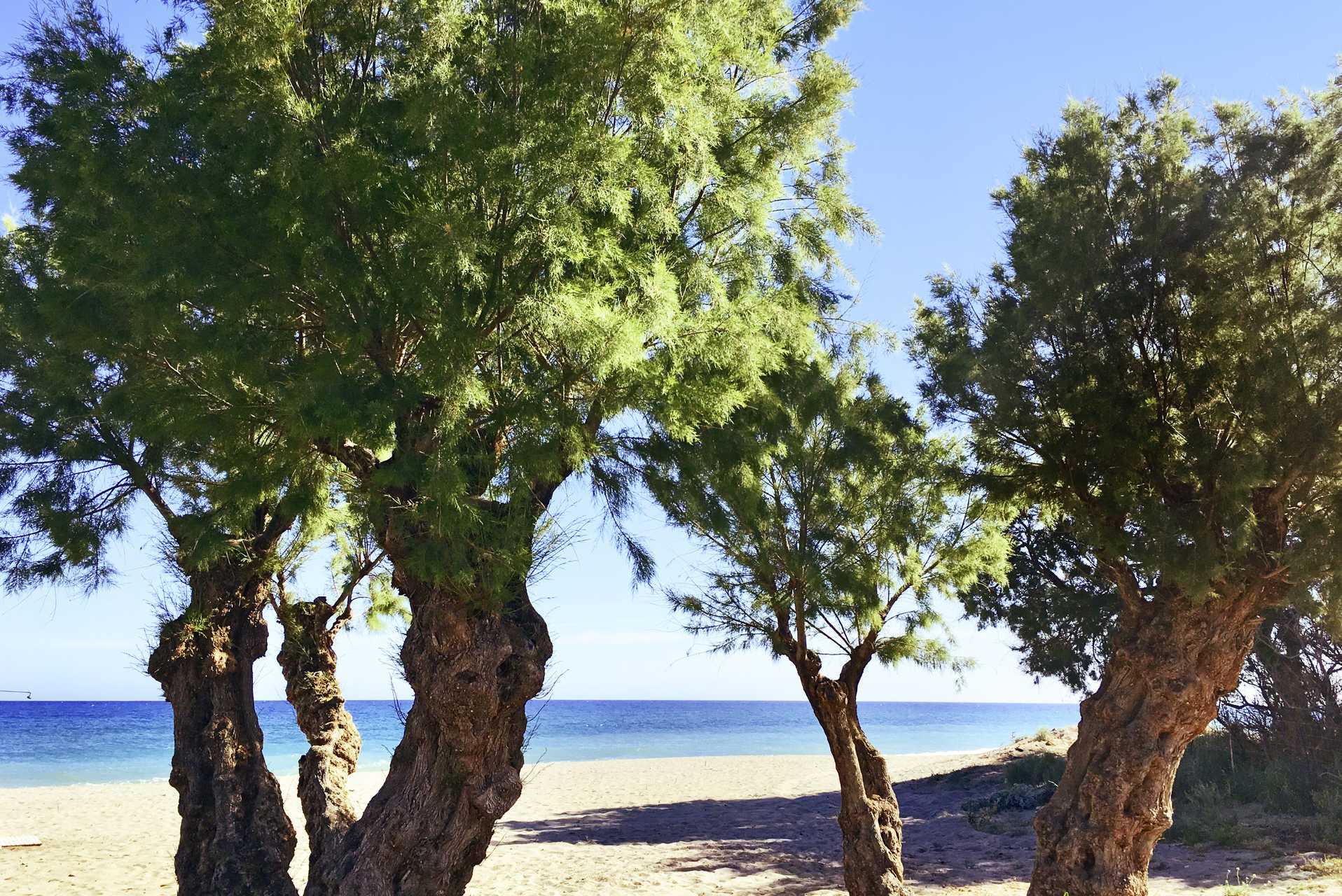 Het strand van het Akti Chara hotel op Kreta, Griekenland.