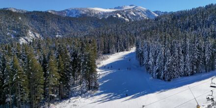 Bansko