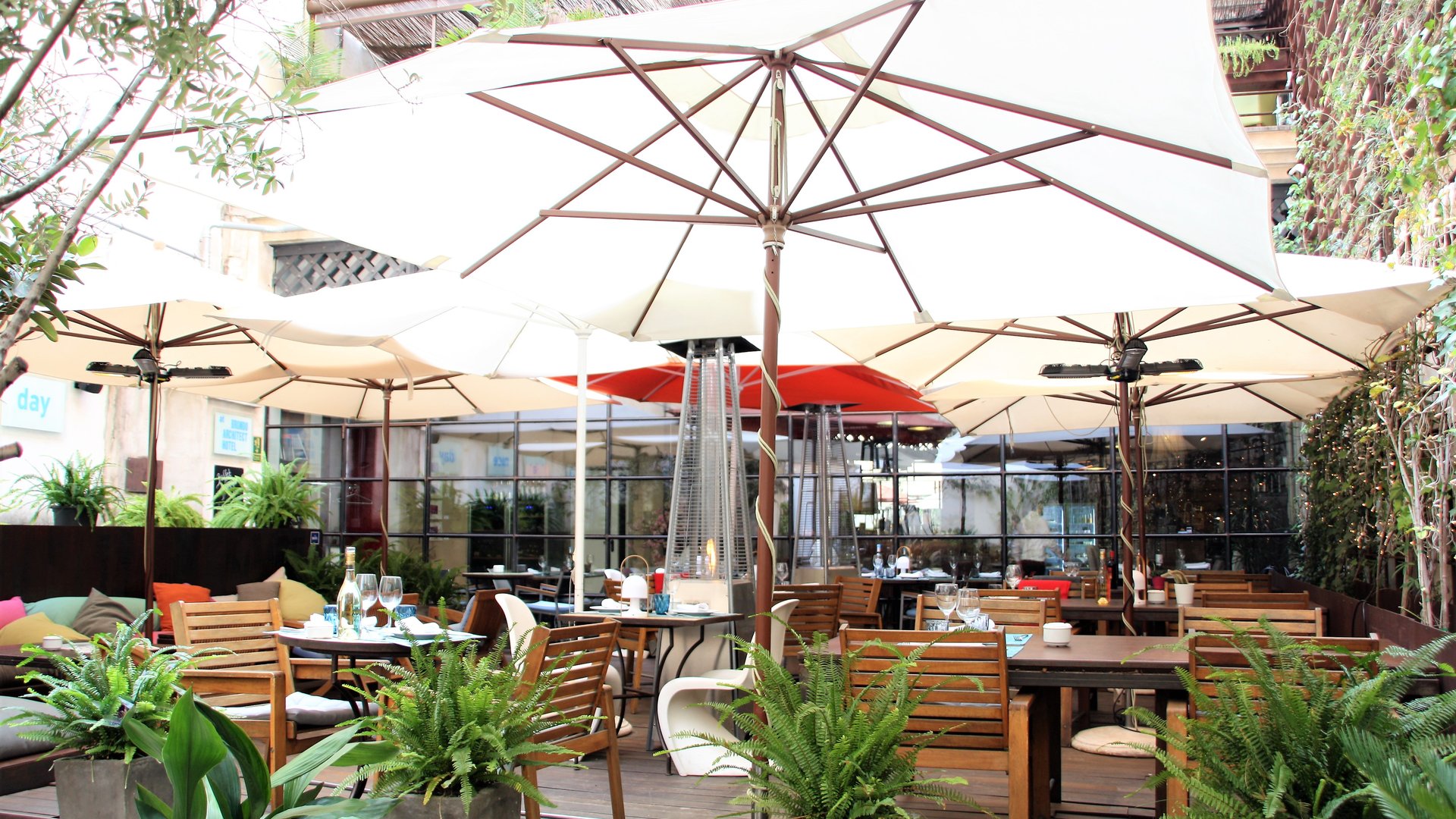Terras