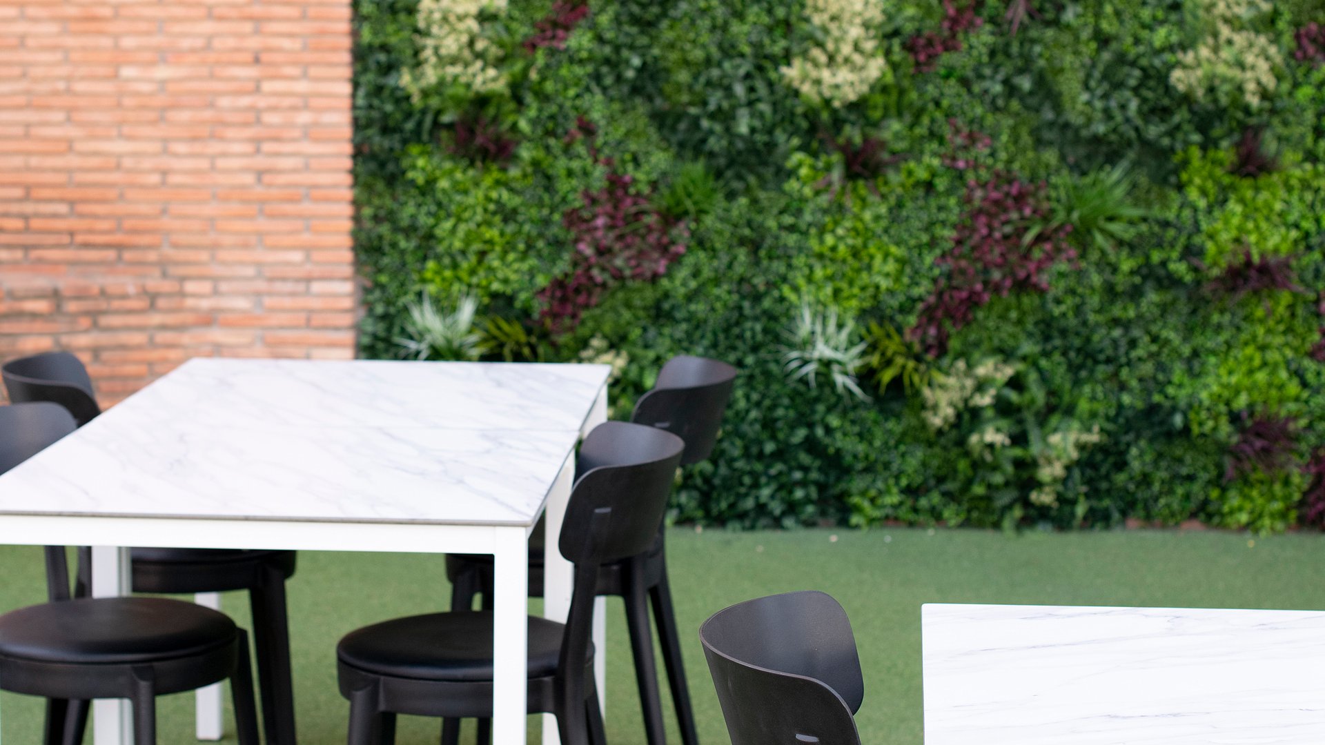 Terras