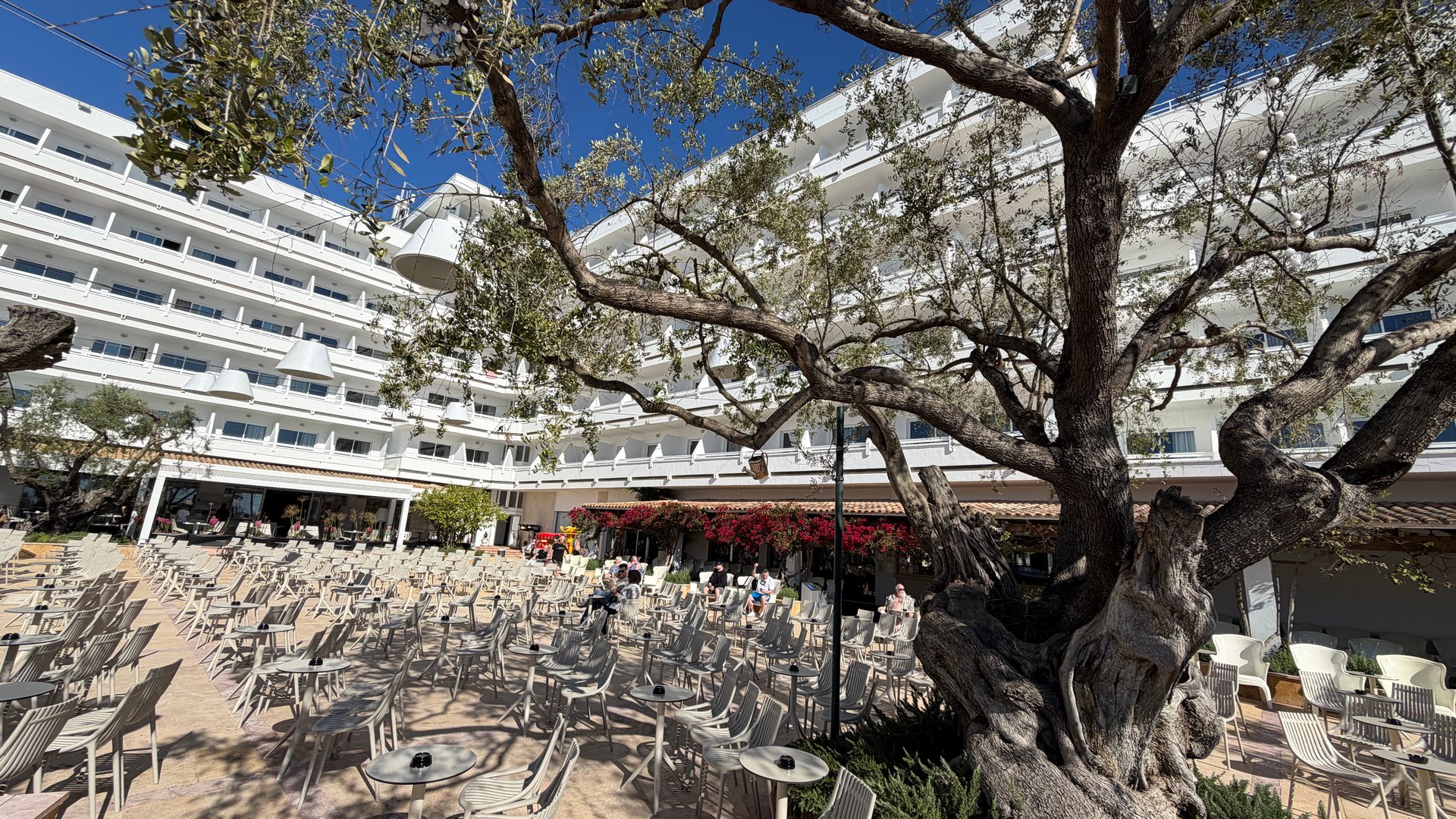 Terras