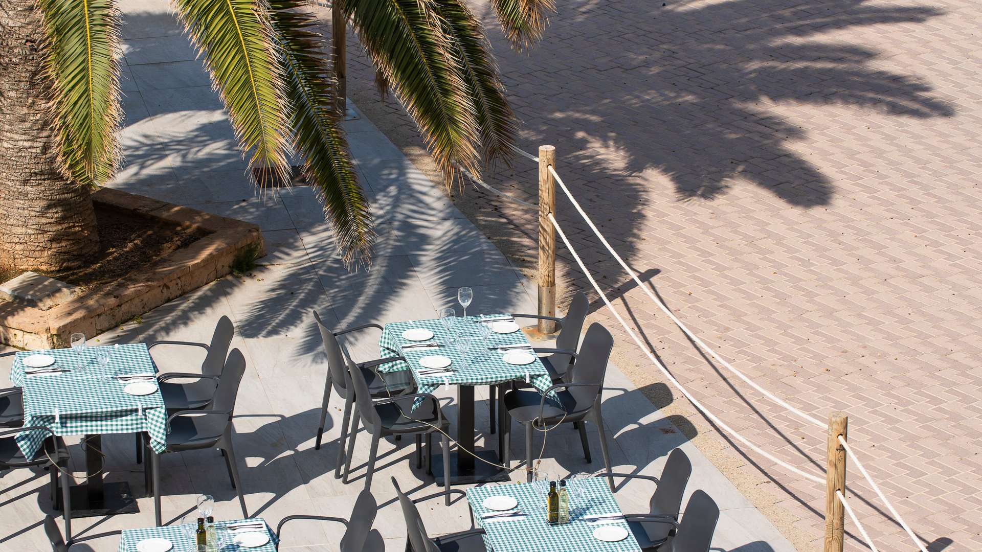 Terras