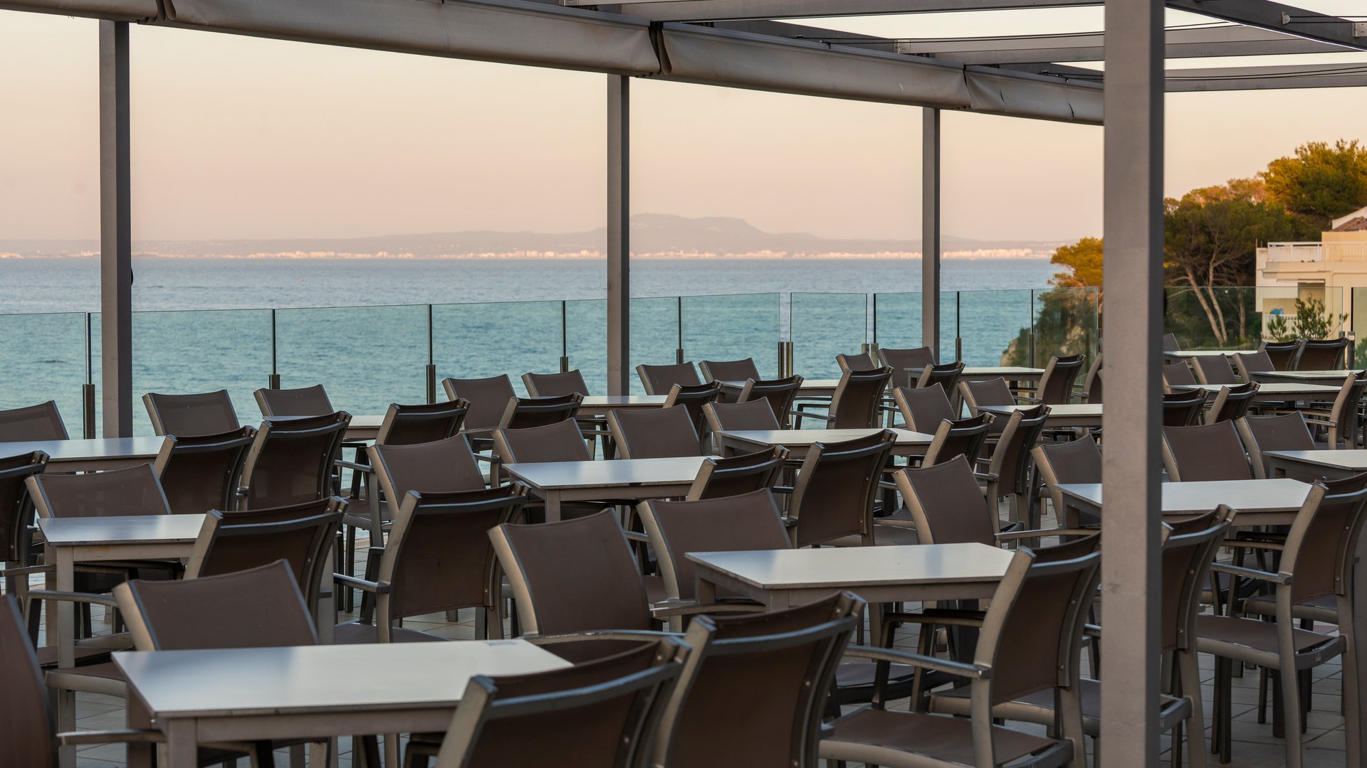 Terras