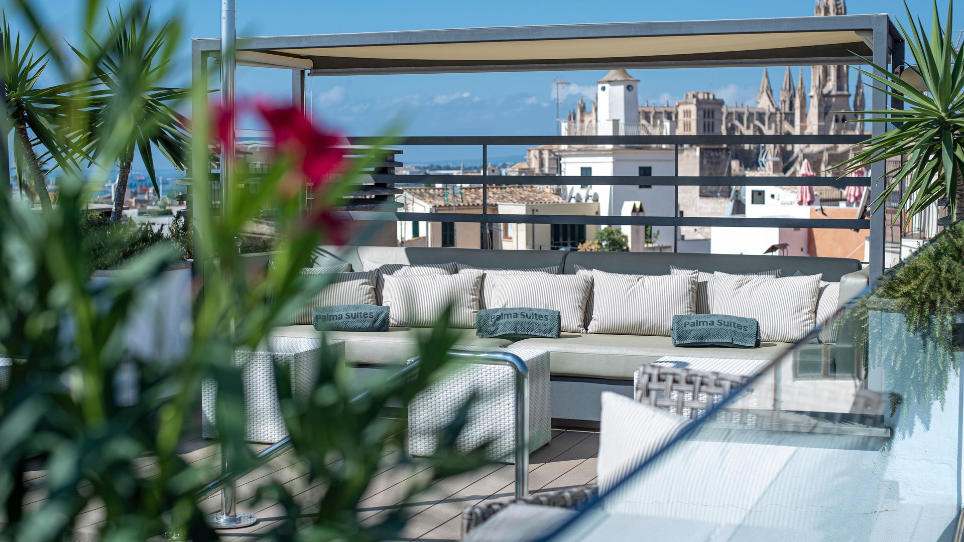 Terras