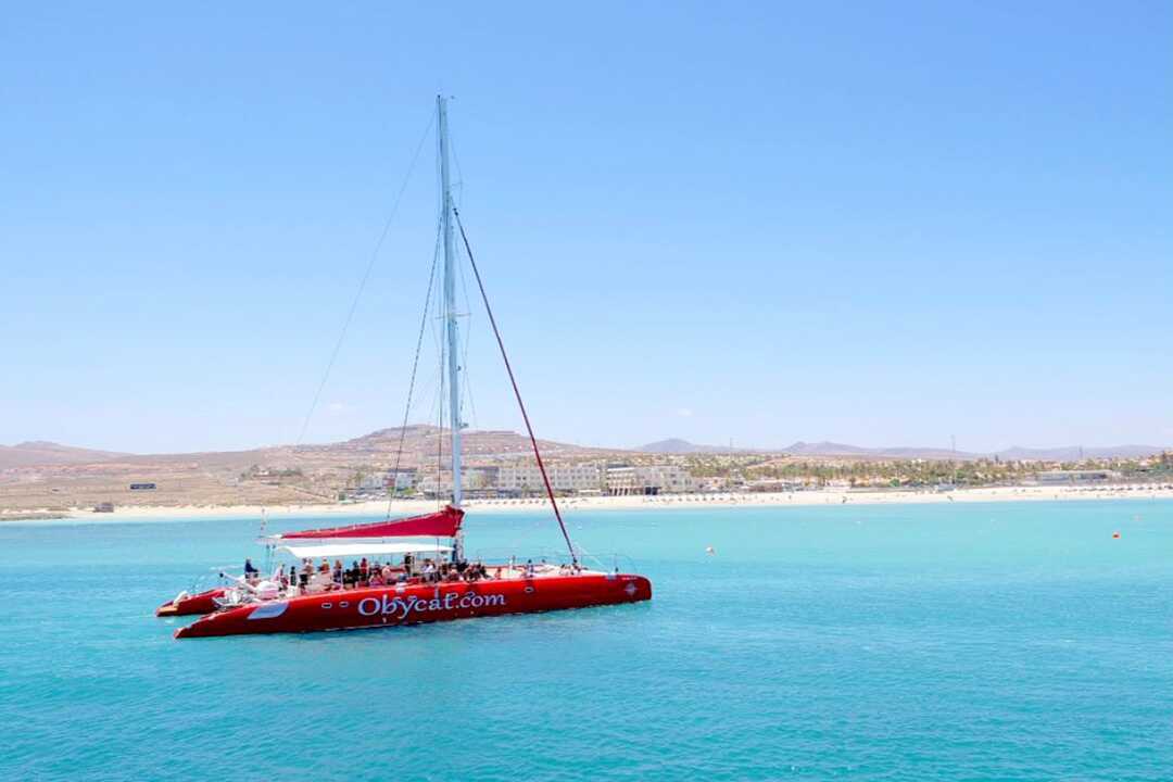Catamarantocht naar Isla de Lobos