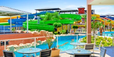 Pickalbatros Jungle Aqua Park Resort - Neverland