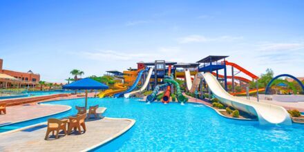 Pickalbatros Jungle Aqua Park Resort - Neverland