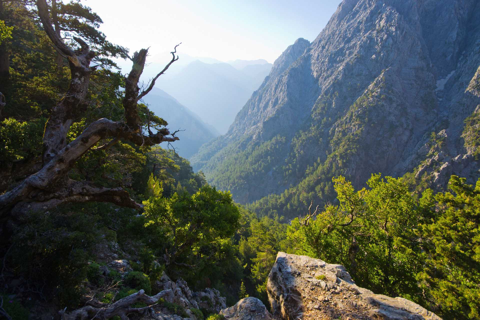 Wandeling door de Samariakloof