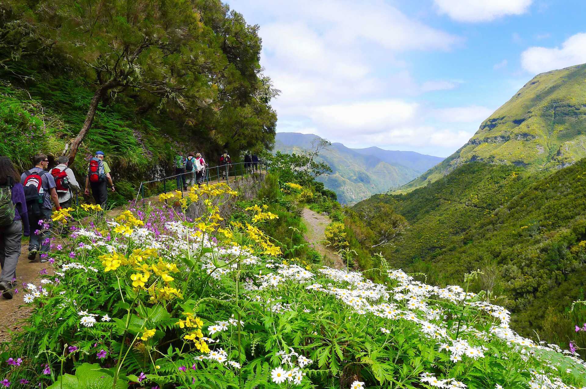 Wandelen op Madeira, Portugal.