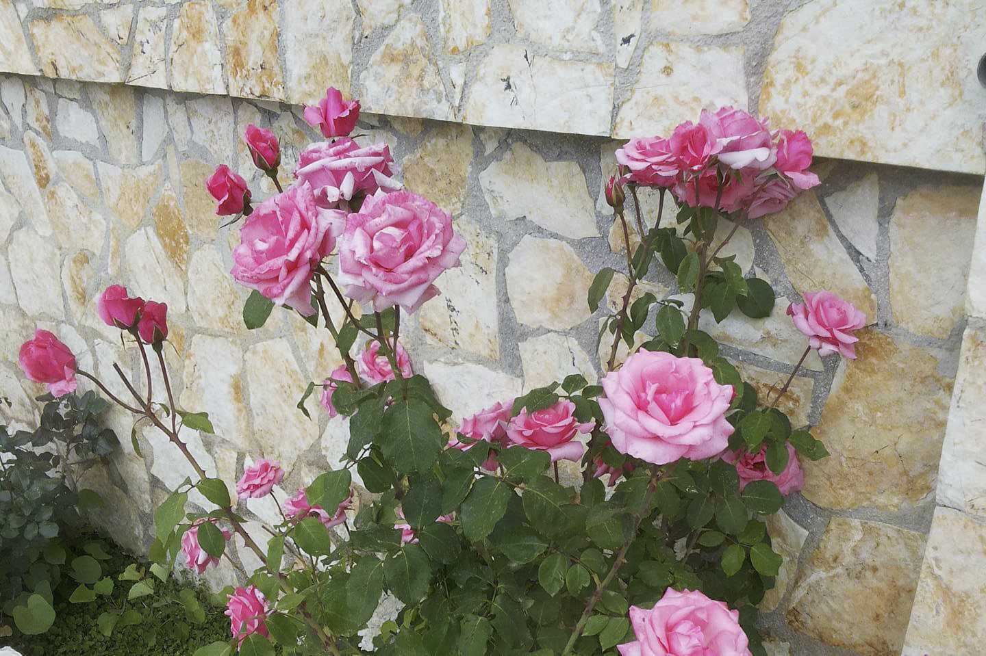 Hotel Villa Heivi in Sivota, Griekenland.