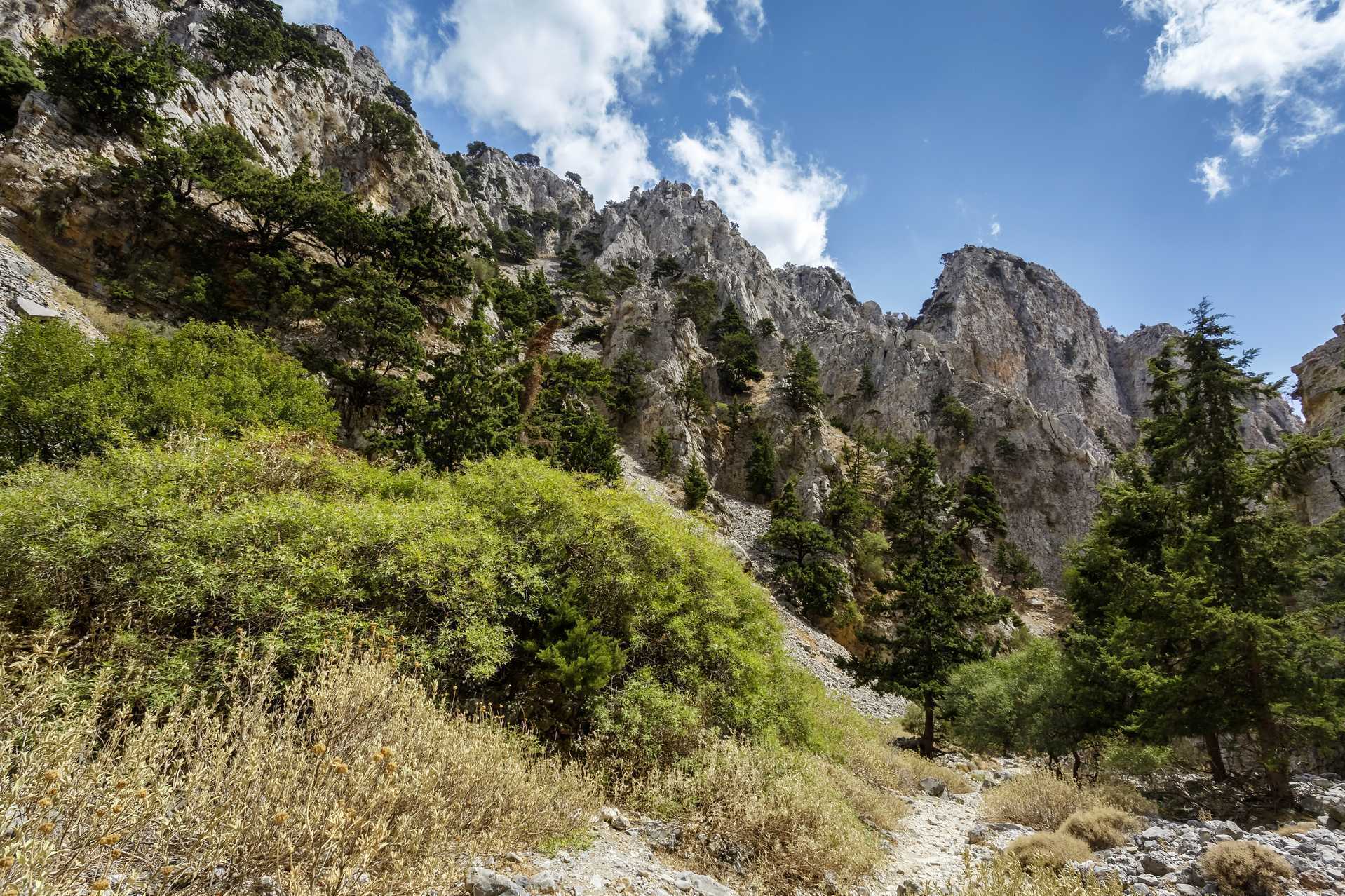 Wandeling door de Imbros kloof