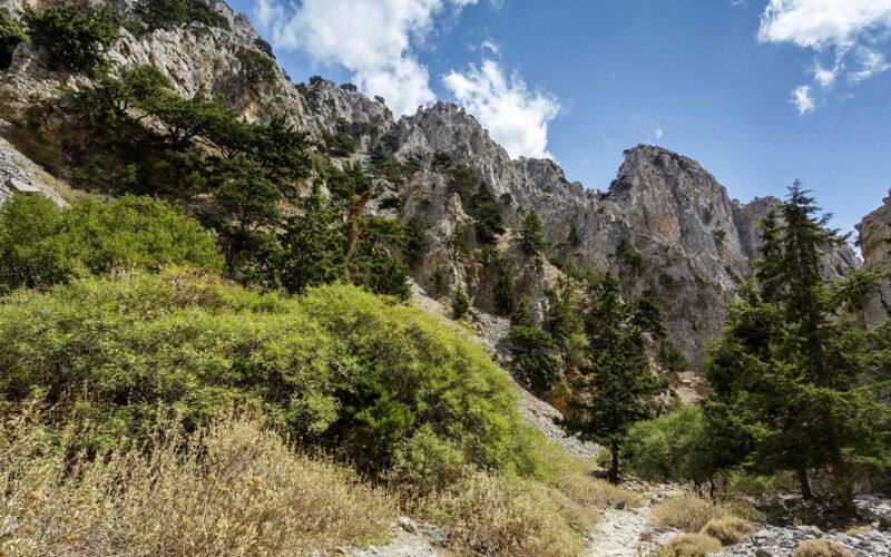Wandeling door de Imbros kloof